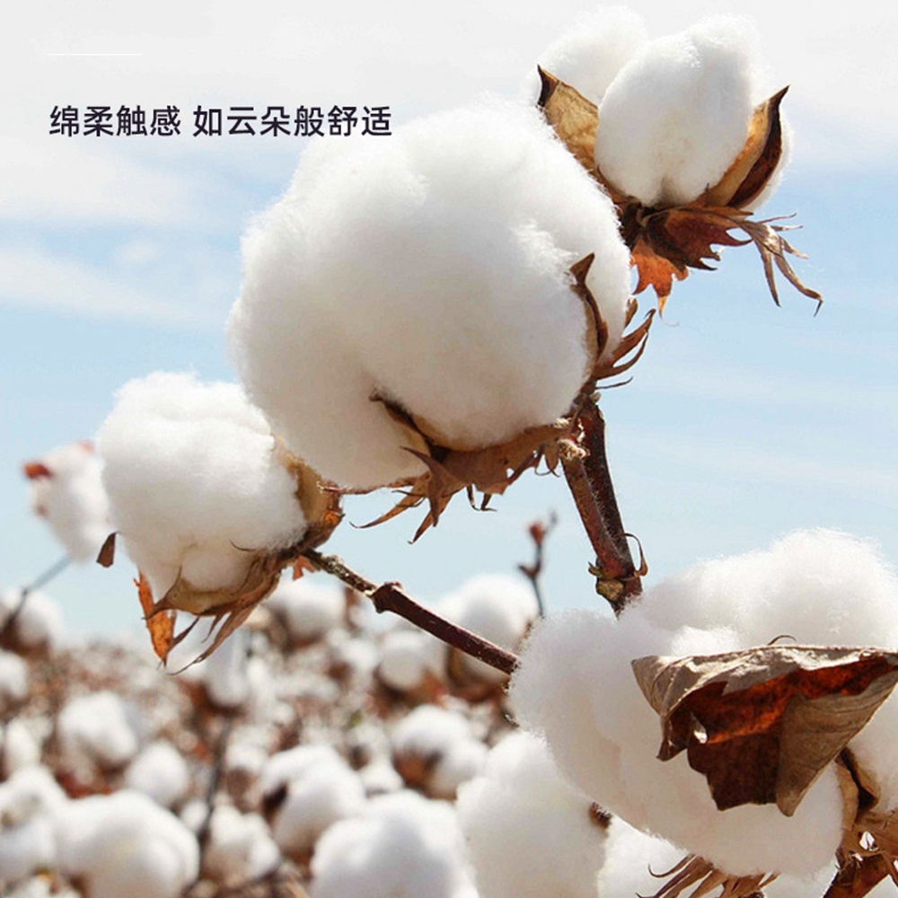5.0/3.0/2.5mm Rubber Head Orga - Cotton Wick Organic recensie en prijs
